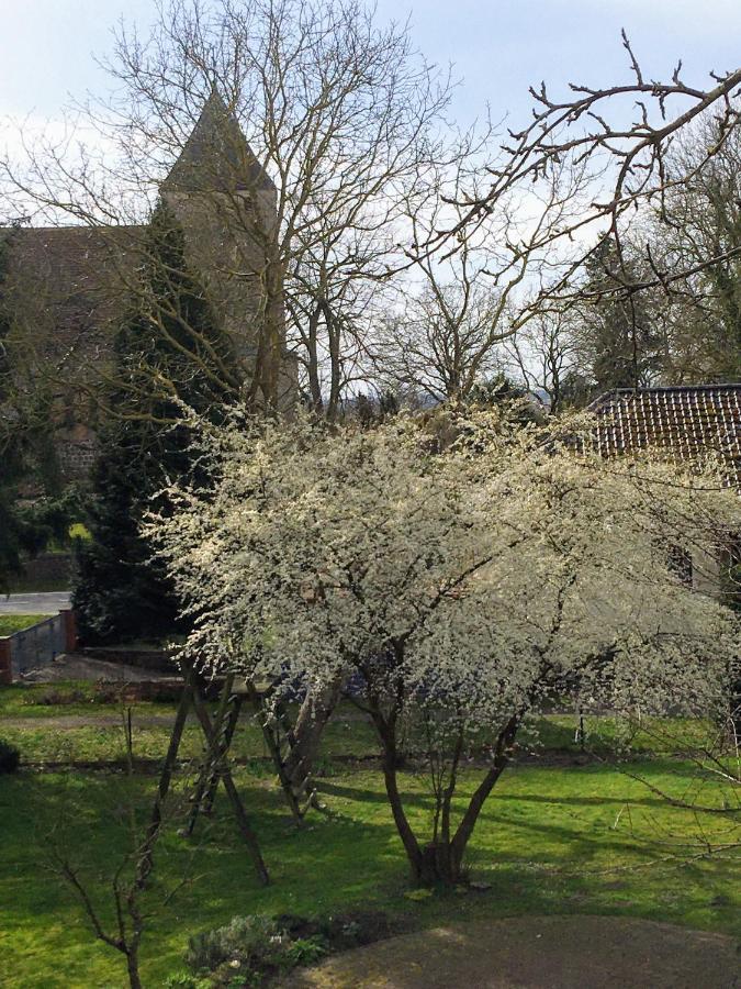Ferienwohnung Kastanienblick Oder Parkblick, Oder Unser Radlerzimmer! Ziethen  Buitenkant foto