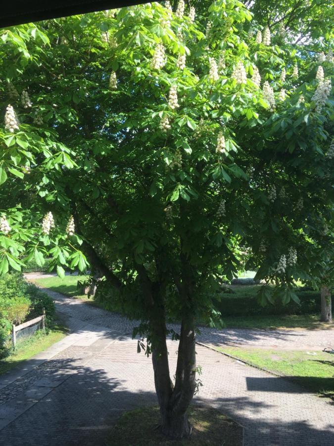 Ferienwohnung Kastanienblick Oder Parkblick, Oder Unser Radlerzimmer! Ziethen  Buitenkant foto