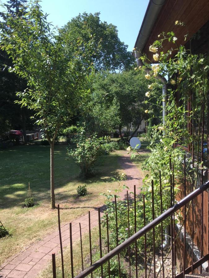 Ferienwohnung Kastanienblick Oder Parkblick, Oder Unser Radlerzimmer! Ziethen  Buitenkant foto