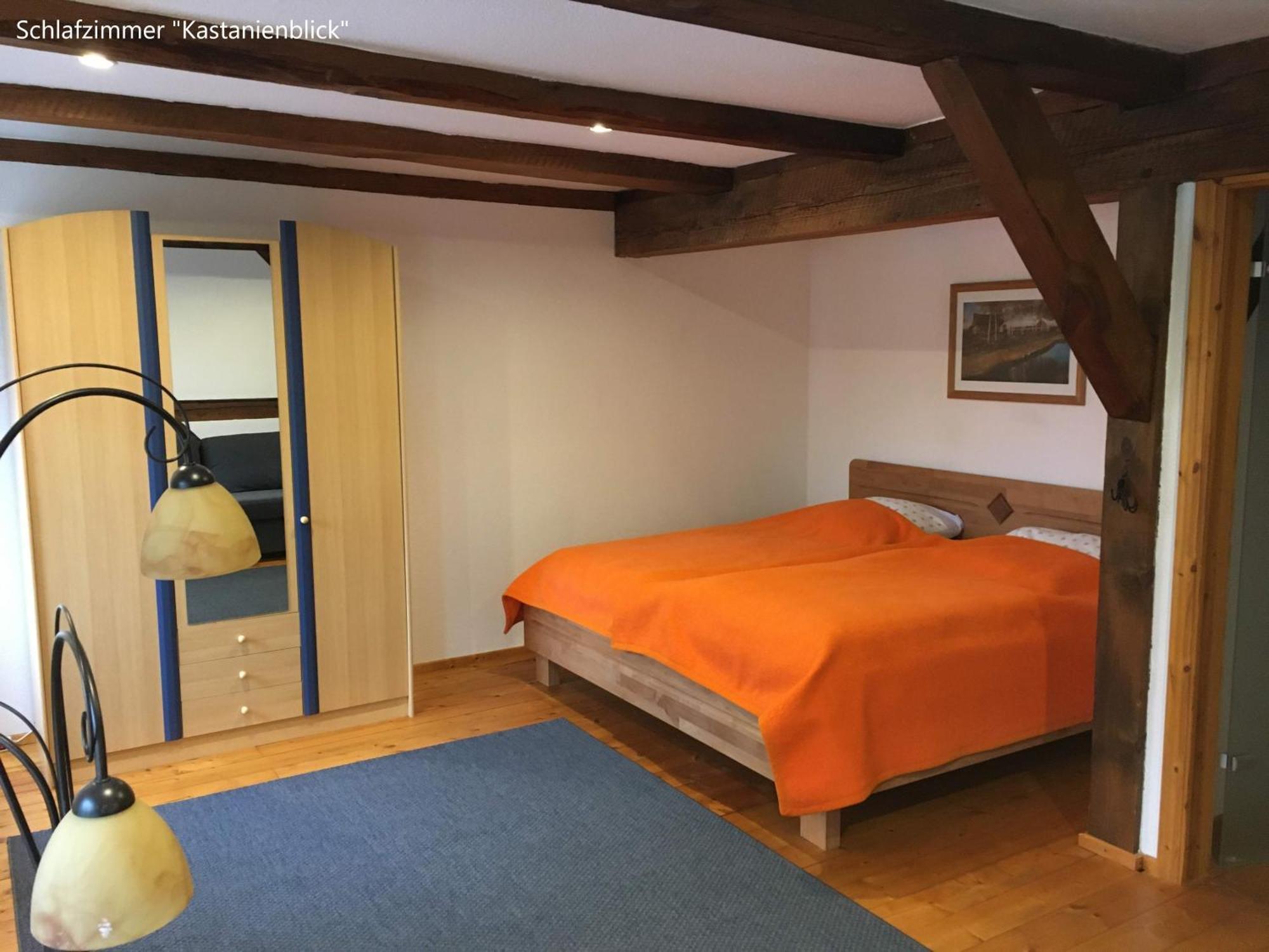 Ferienwohnung Kastanienblick Oder Parkblick, Oder Unser Radlerzimmer! Ziethen  Buitenkant foto