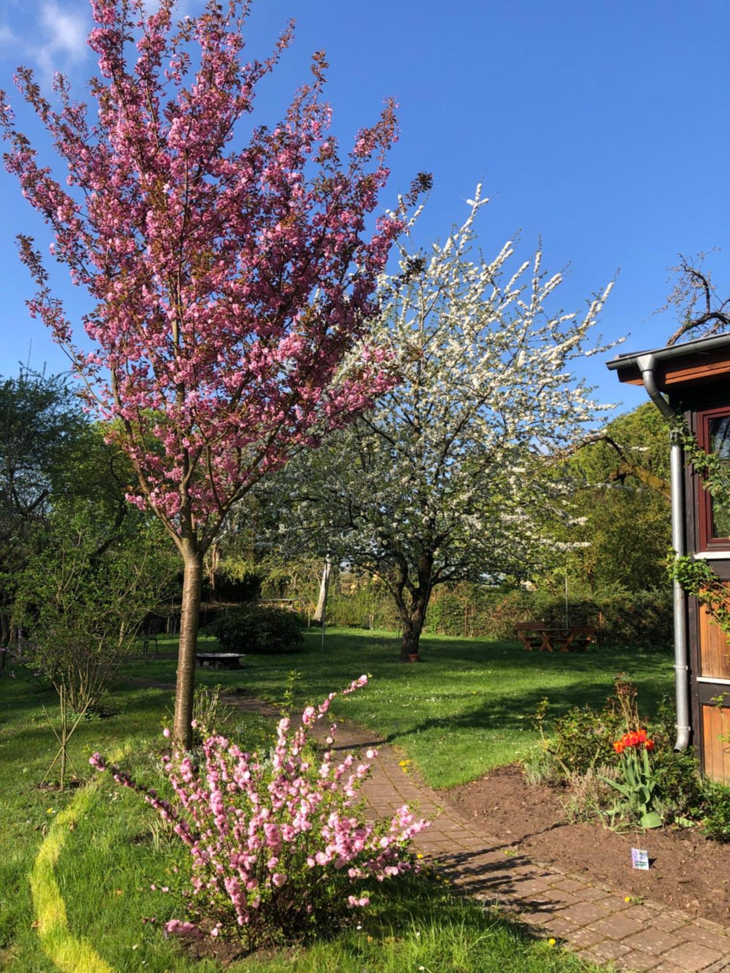 Ferienwohnung Kastanienblick Oder Parkblick, Oder Unser Radlerzimmer! Ziethen  Buitenkant foto